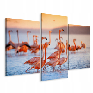Obrázok Triptych Patki Flaminga od 3D vody 180x120