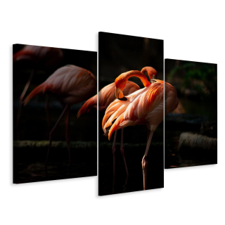 Picture Triptych Birds Flaminga 3d Decoration 180x120