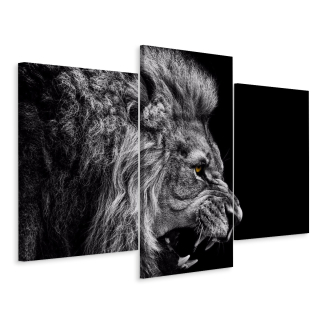 Obrázok Triptych Roaring Lion Portrét 3D efekt 180x120