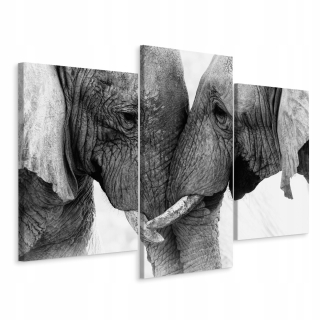 Obrázok Triptych Elephants Zvieratá Príroda 3d 180x120