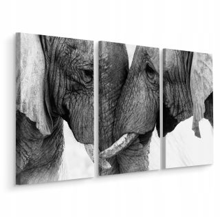 Picture Triptych Elephants Up Close Animals 3d 150x100