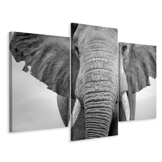 Obrázok Triptych Elephant Animal Nature 3D Efekt 180x120