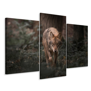 Obrázok Triptych Wilk v lese Natura Dekor 3d 180x120