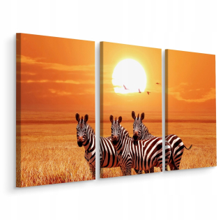 Obrázok Zebra Triptych Birds Sun Krajina 3d 150x100