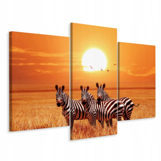 Obraz ZEBRY Triptych Vtáky Slnko Krajina 3D 180x120