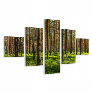 Multi -časový obraz z pohľadu stromového lesa 3d 250x150