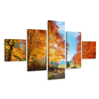 Multi -časový lesný obrazový strom Falls 3d 250x150