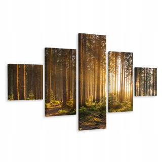 Obrázok Multi -časová časť Sunset Landscape 250x150