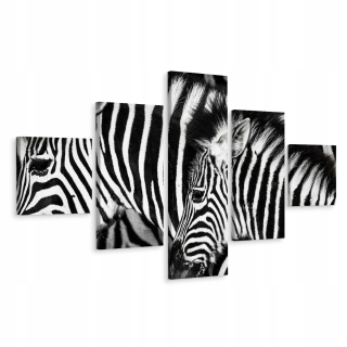 ZEBRA Stado Natura 3D viacdielny obraz 200x120