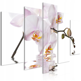 Obrázok - nádherná Orchida Wide - 100x50 + 10 ďalších produktov