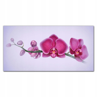 Maľba akrylom 120x60 Akvarel kvet vetvička orchidea