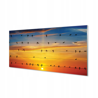 Sklenené vtáky na lanách západu slnka 120x60