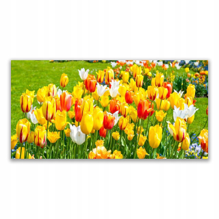 Obrázková stena akrylová 120x60 tulipánov kvety príroda