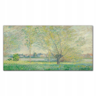 Obrázok stena akryl na stene 120x60 Willows Monet