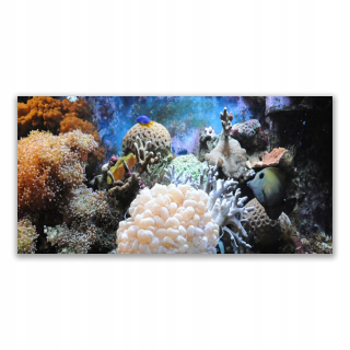 Obrázok závesného akrylu 140x70 Coral Reef Príroda