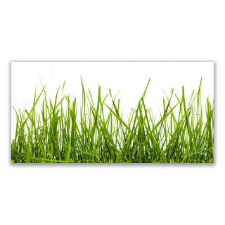 Obrázok závesného akrylu 140x70 Grass Nature rastlina