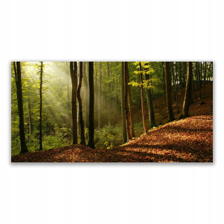 Maľba akrylom s grafikou 140x70 Les, stromy, príroda