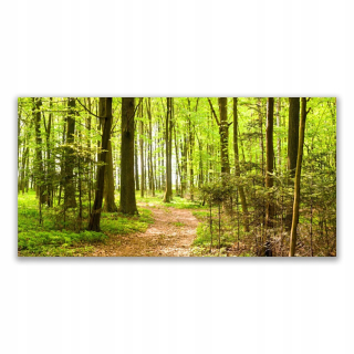 Obrázok akryl s 140x70 Print Forest Path Natura