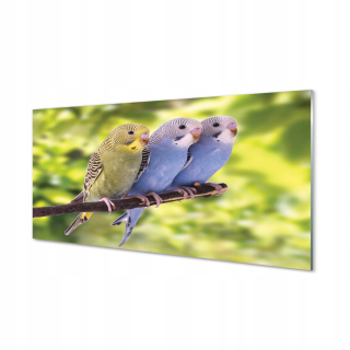 Obrázok na skle farebné papagáje na vetve 120x60 cm