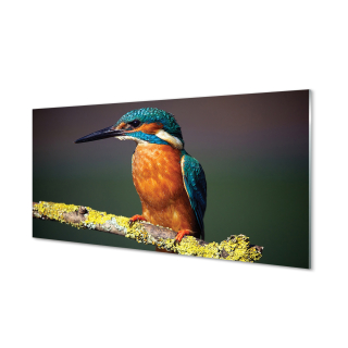 Farebný akrylový obraz na vetve 120x60 cm