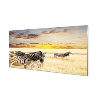 Zebra akrylová maľba West Sunset 140x70 cm