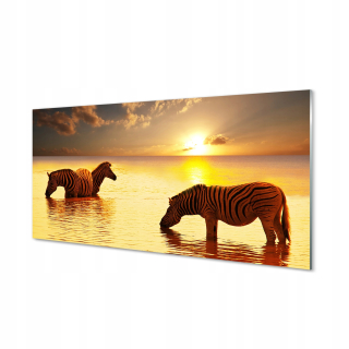 Obrázok na pohári Zebra Water Sunset 120x60 cm
