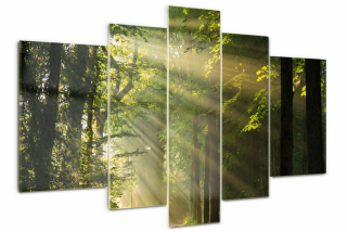 Sklenený obrázok veľký triptych les na slnku