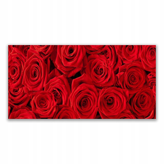 Nástenný akrylový obraz 140x70 Roses Flowers Plant