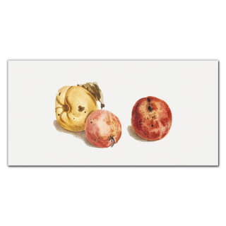 Závesný akrylový obraz 120x60 Apple ovocie