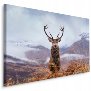 Obrázok Canvas Winter Snow Deer Mountain Cloud 120x80