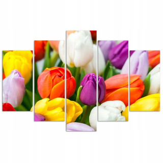 Obrázok na kanceláriu farebné tulips 100x70