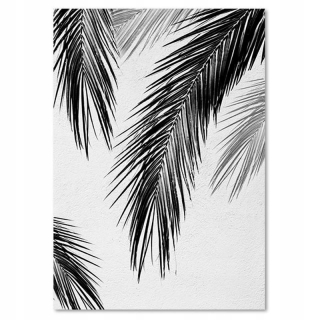 PALM OBRASA LISTE 80X120