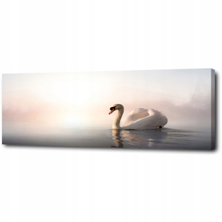 Obrázková tlač na plátne Swan 145x45