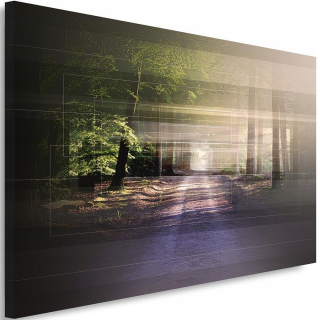 Obrázková cesta v lese 1 120x80