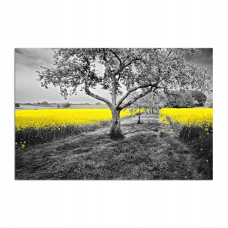Deco Panel Yellow Rapeseed 120x80