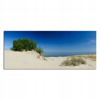 Maľovanie morskej panoramatickej pláže pre obývaciu izbu 140x45