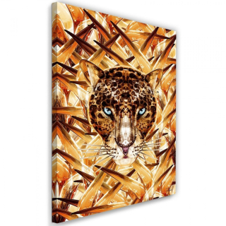 Obrázok kapitoly Jaguar 70x100