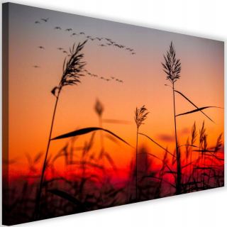 Tlačená maľba 90x60 Sunset Landscape