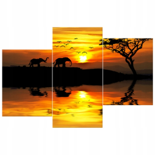 Tlačený obrázok tlačený Afrika 90x60cm + lepidlo na tapetu protislu - 150 g (až 10 m²)