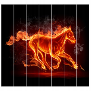 Fire tlačený obrázok ... 210x195 cm