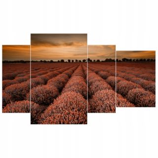 FOTO -Screen 210x195 lak