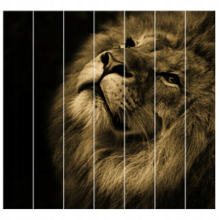 Tlačená maľba Zlatý lev 210x195 cm