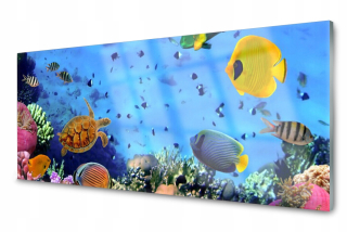 Obrázok na sklení Rafa Coral Fish Natura 125x50