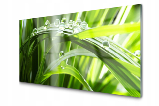 Obrázok na sklenenej tráve Rosa Drops Plant 140x70