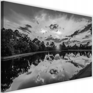 Obrázok na plátne 120x80 Čiernobiela a biela krajina výhľad