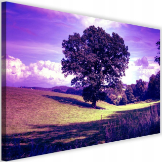 Picture Tree v čistote 120x80