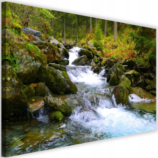 Obrázok na plátne - plátno, Górski Potok 3 120x80