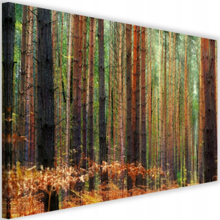 Obrázok uprostred lesa 120x80