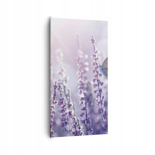 Obrázok na plátne Butterfly Meadow Flower PA65X120-4014