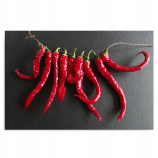 Chilli Pepper maľba pre salón 80x60